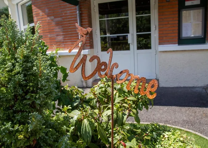 Logis - Hotel Restaurant Du Canard